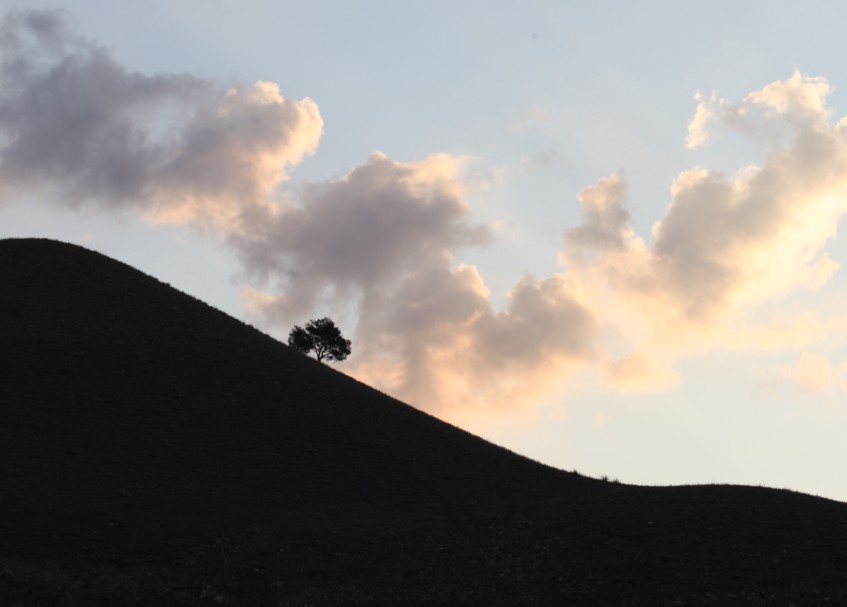 消息树（新疆庆华集团园区外景）